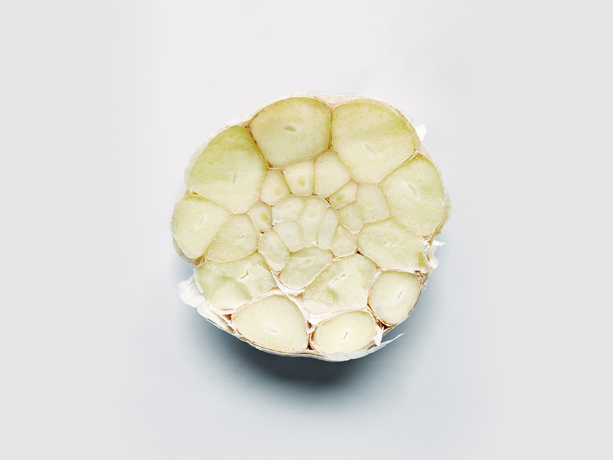 빵위에치즈아주점 이미지