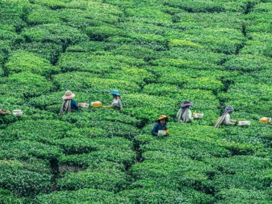 당신에게 마침표는 무슨 의미인가요 - 뉴스 썸네일 이미지
