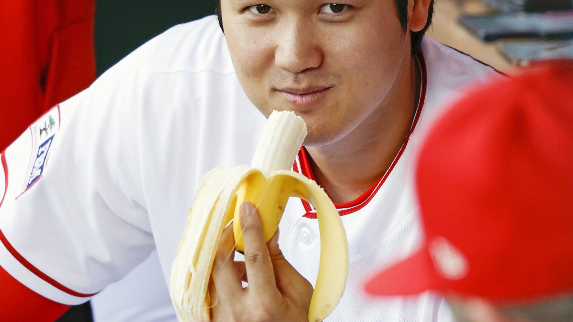 열하루식당 이미지