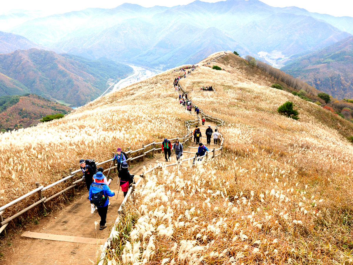 KT travel 이미지