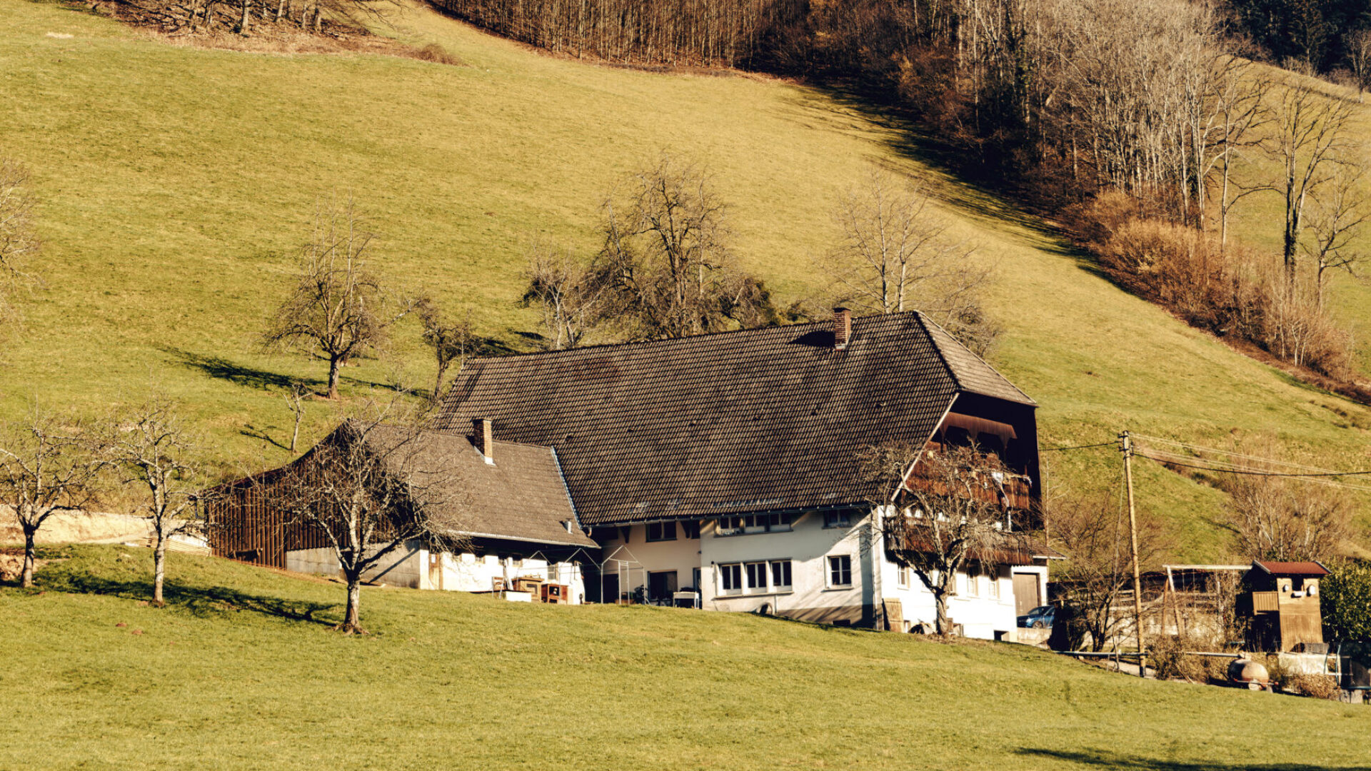 신화와 전통, 그리고 지금이 뒤엉켜 있는 독일의 블랙 포레스트 - 뉴스 썸네일 이미지